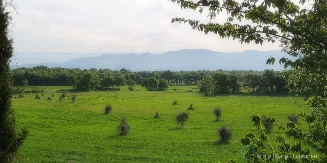 Tuscia-paesaggio-verde