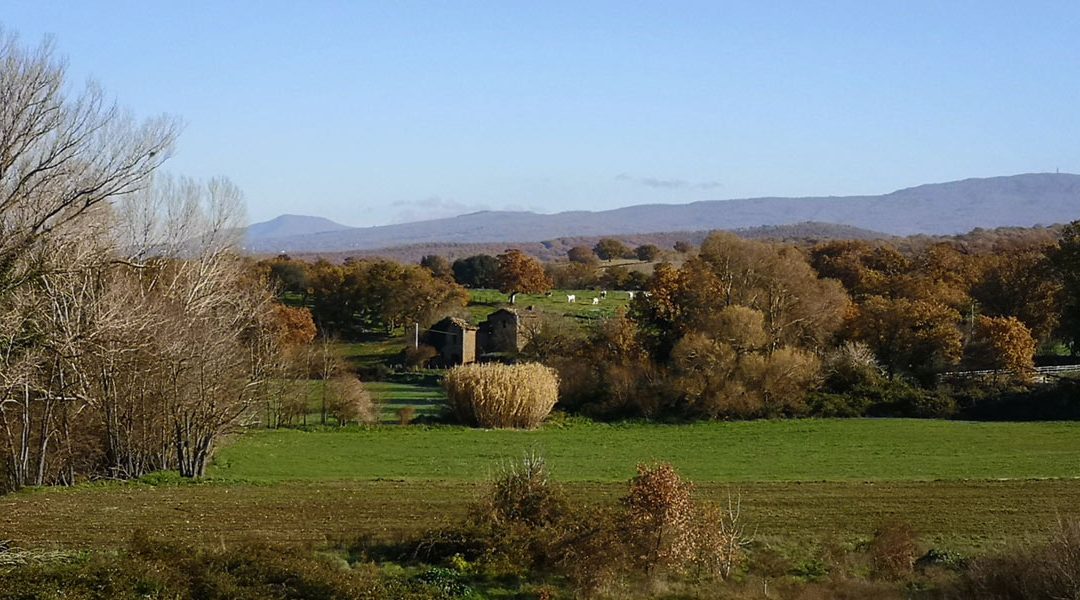 Paesaggi dell’Etruria Rupestre