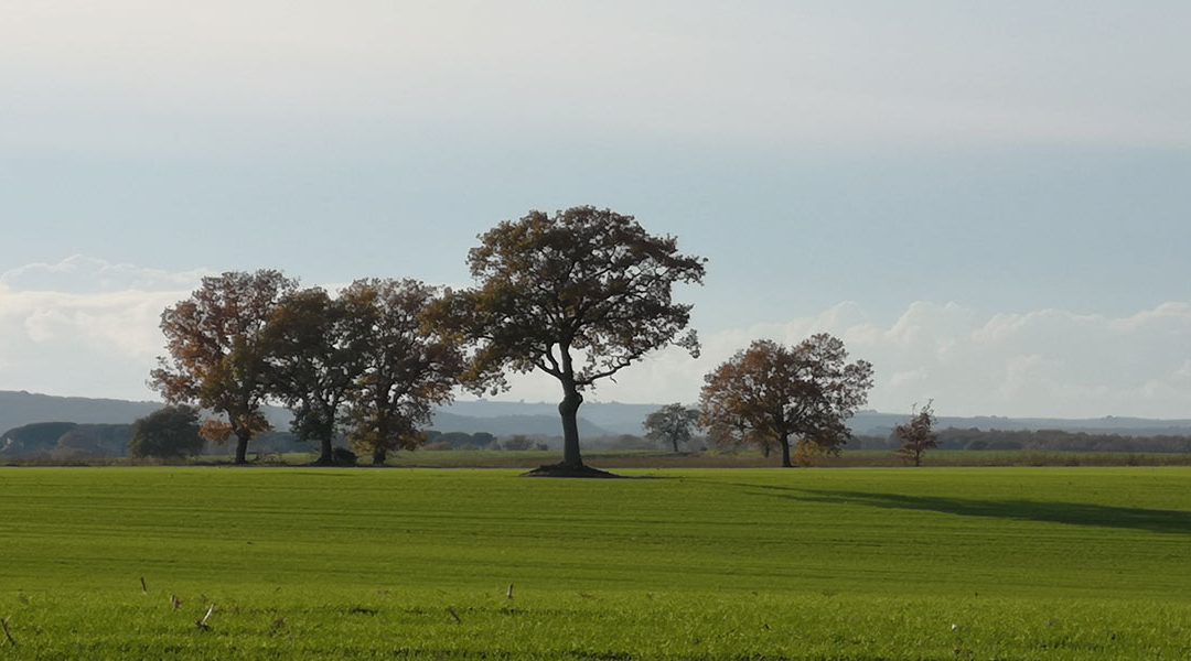 Tuscia di Mezzo – Il paesaggio Etusco