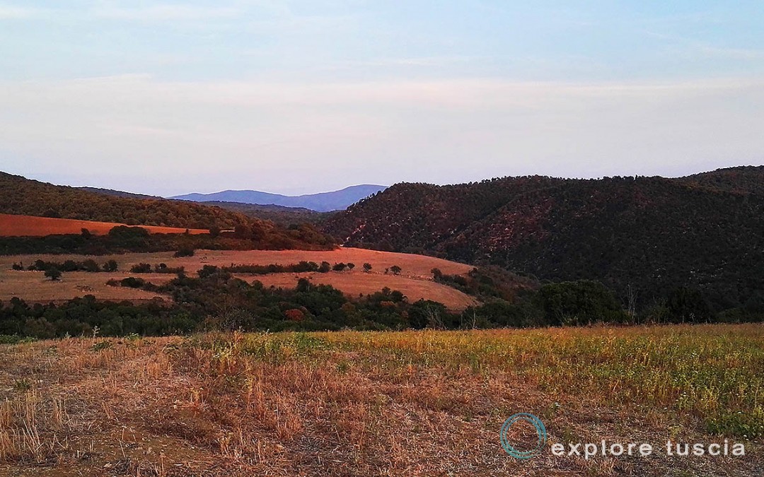 La Valle del Mignone