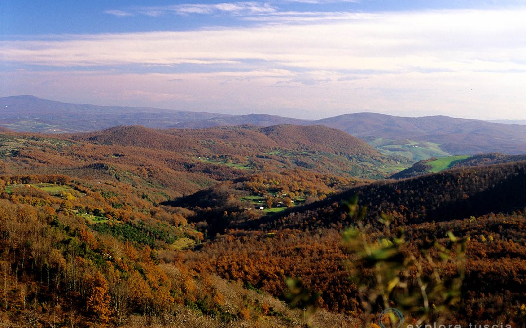 Monti della Tolfa