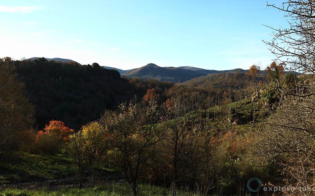 I Monti della Tolfa sotto attacco