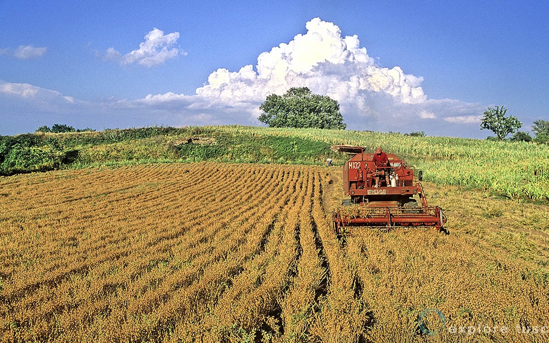 E la Tuscia fu!