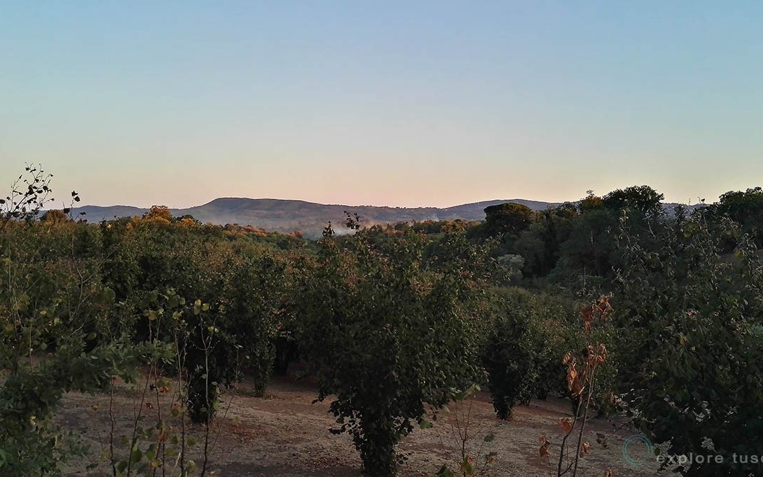 Dai Cimini ai Monti della Tolfa