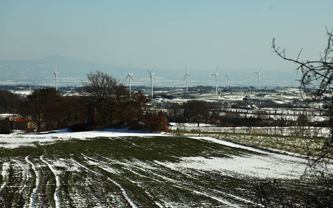 In Nome dell’Ambiente si Distrugge l’Ambiente!