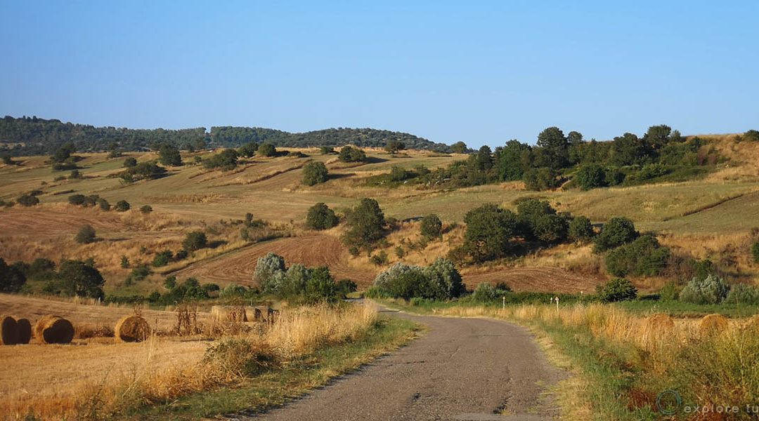 Superstrada nella valle del Mignone? Che vergogna!?