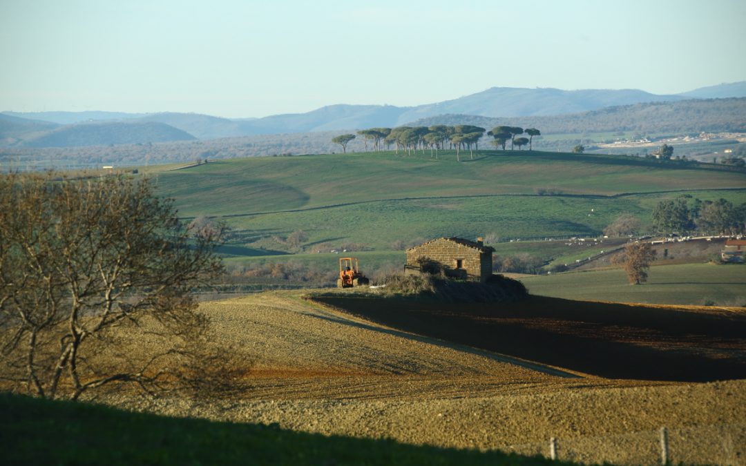 Il Formiconcino – Tuscania (macroarea destinata alle rinnovabili)