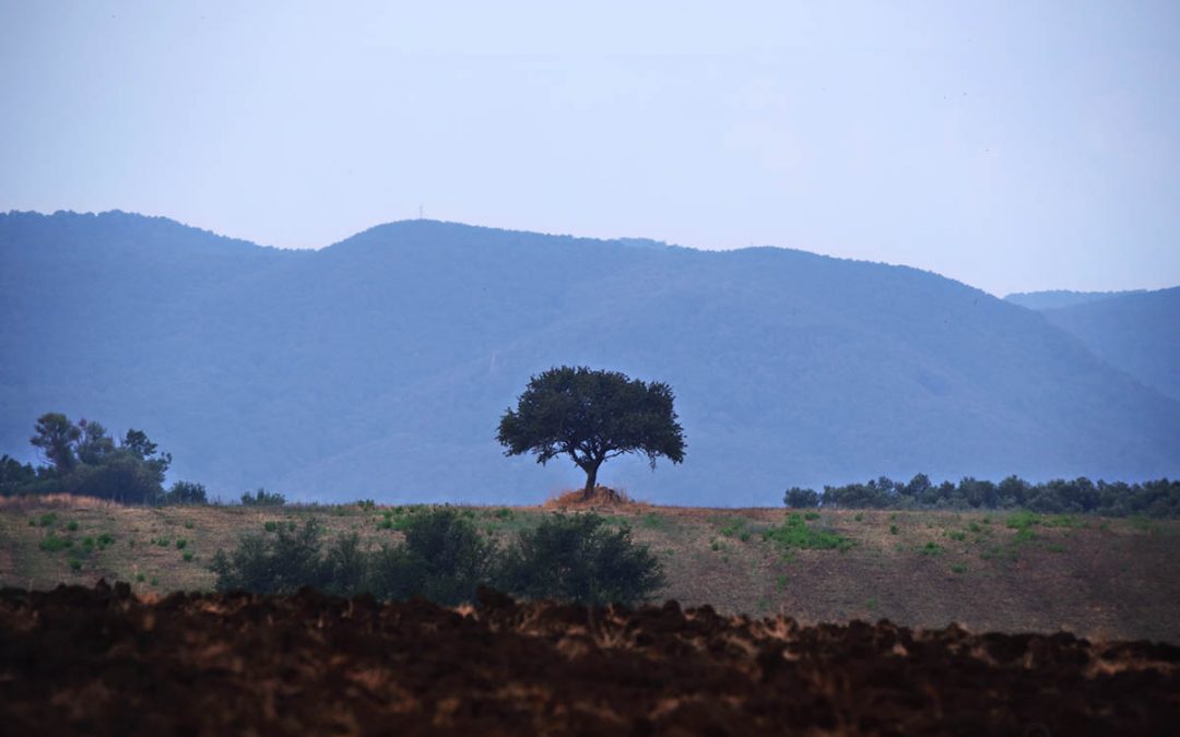 Solitudine nella Tuscia!