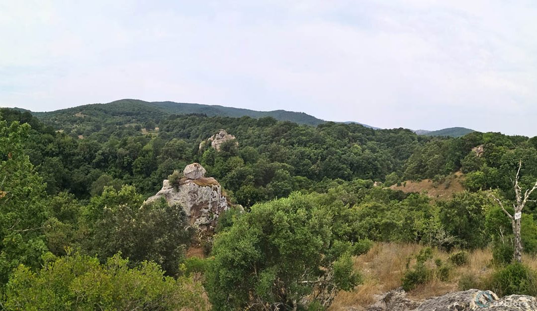 Spazi inutili – da sfruttare e inquinare senza pietà per la biodiversità e le generazioni future.