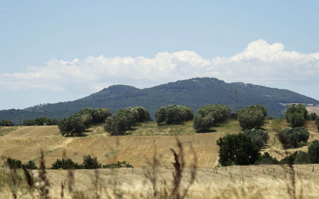 Il Dop Canino del Comune di Tuscania si trova all’ interno della macroarea destinata alle rinnovabili… Ooooops!?