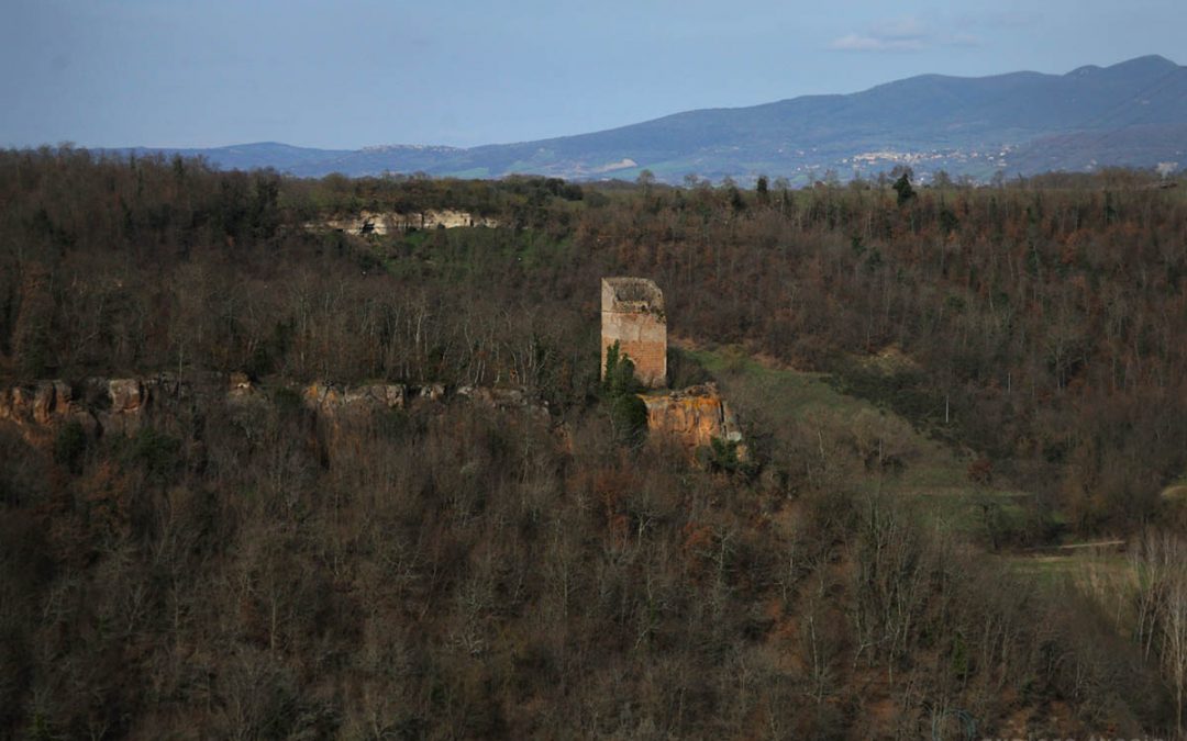 Piantorena – La Torre