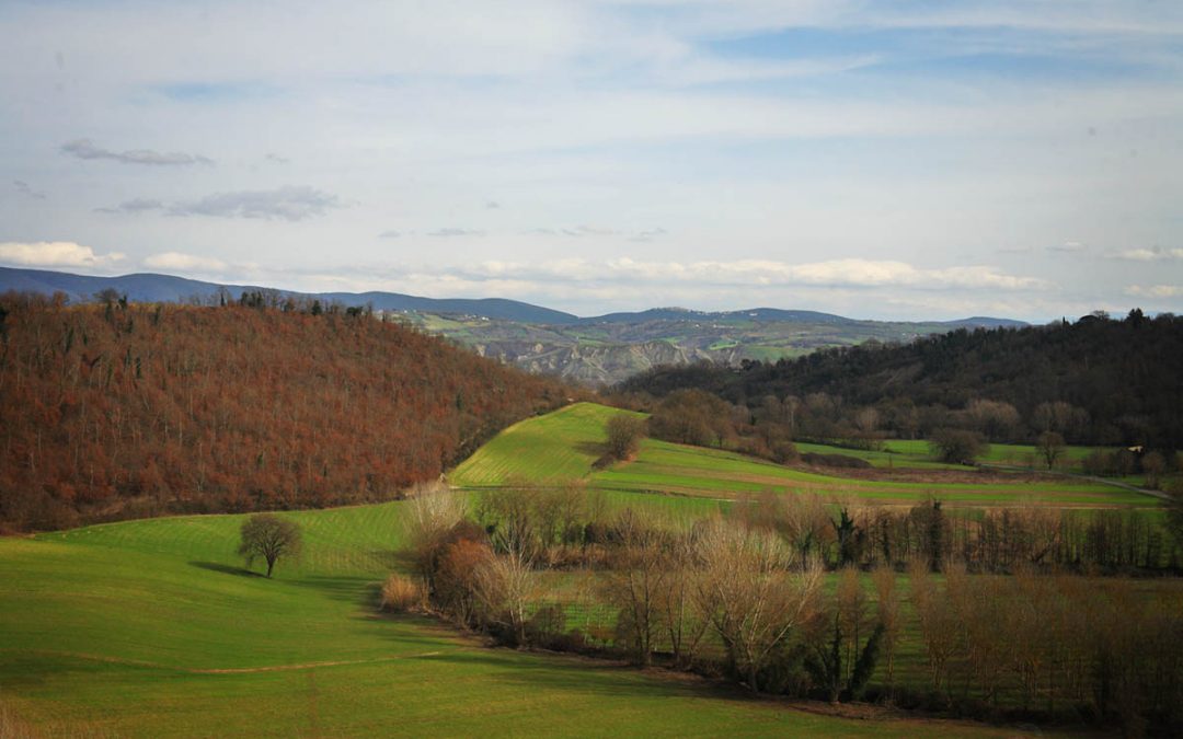 Piantorena – Paesaggio