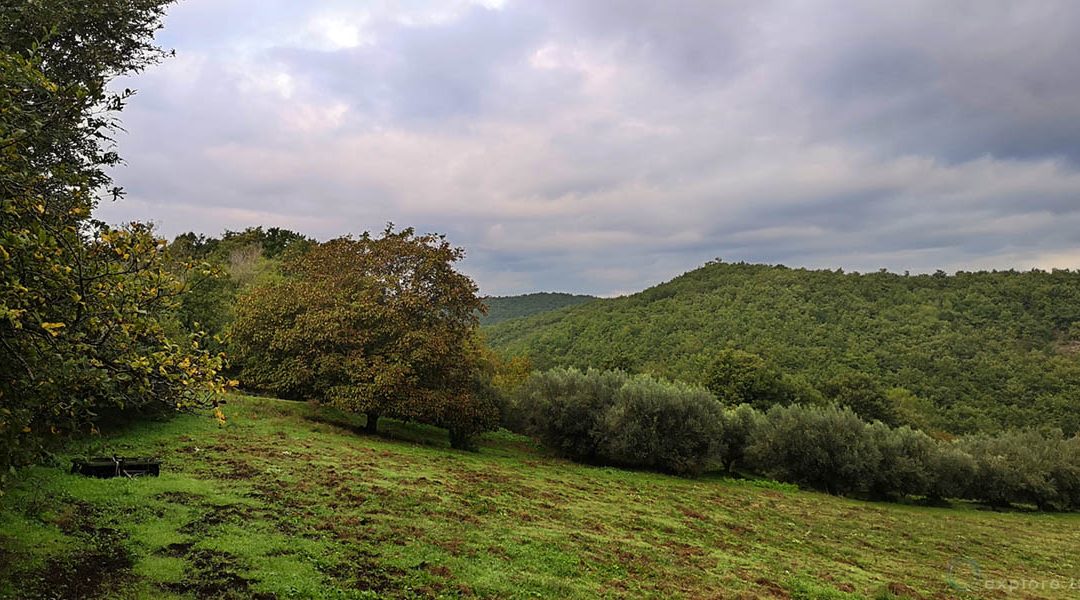 Sensazioni d’Epoca