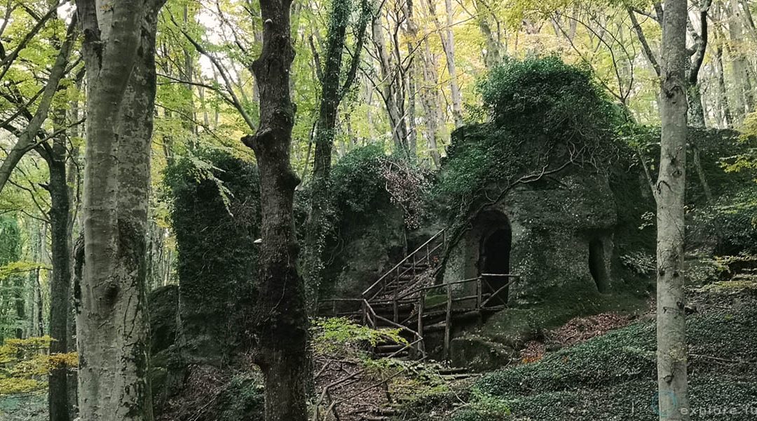 Il Bosco Incantato sospeso nell’incertezza