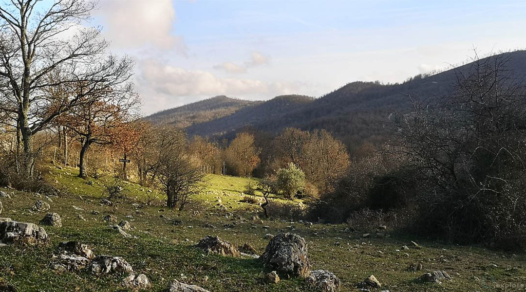 I Misteri della Tolfa