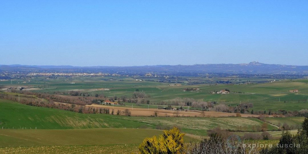 Tuscia Pianeggiante: da Tuscania a Montefiascone