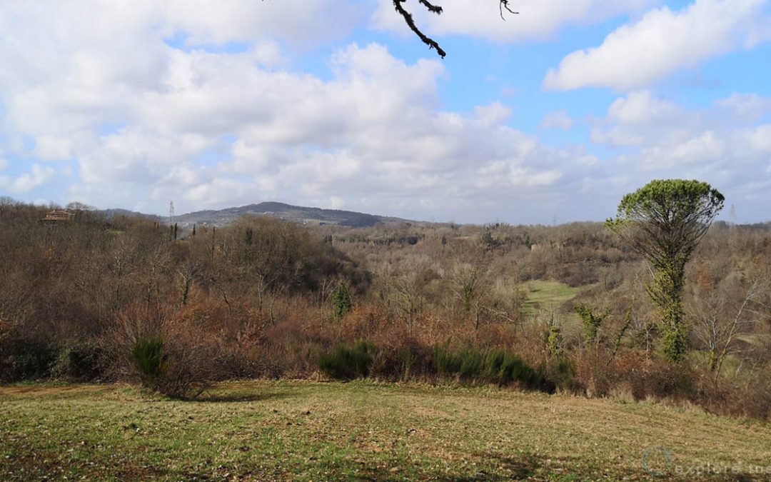 Il Monte Fogliano, Re della Selva