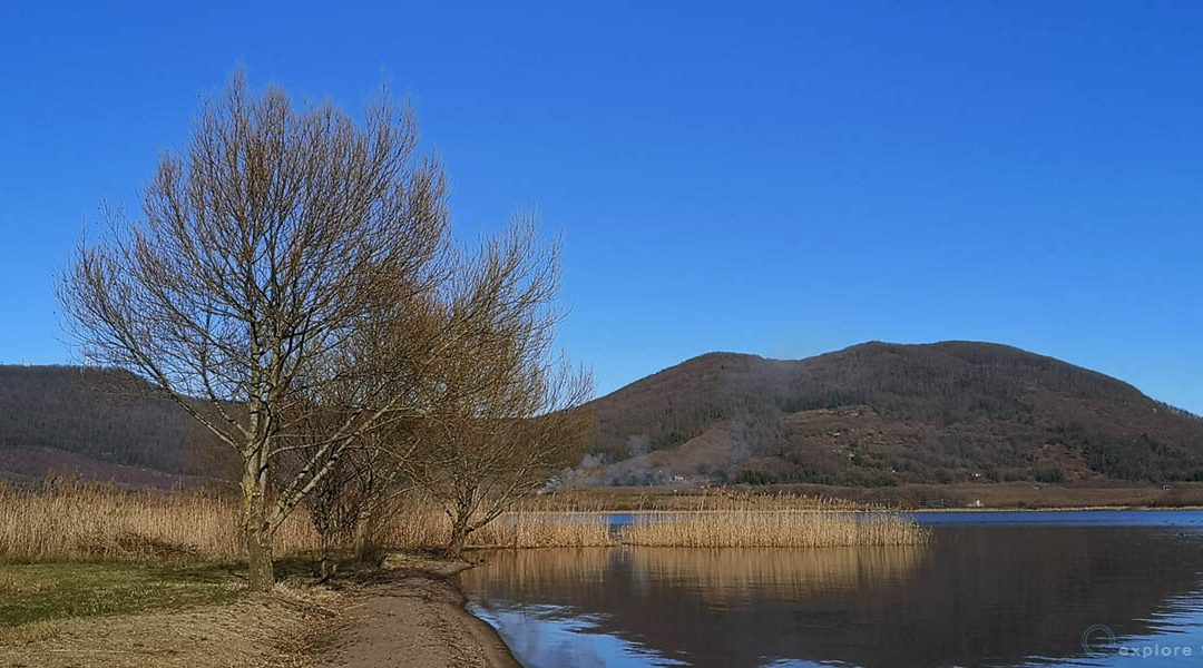 Il Lago di Vico – Eutrofia di Charme