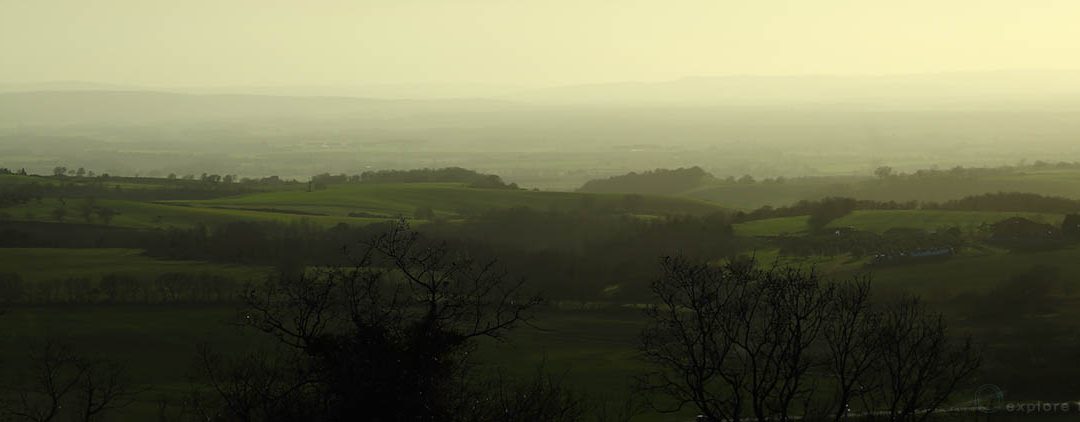 Tuscia – Elementi Rimasti