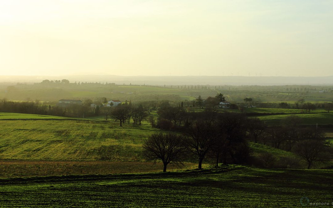 Tuscia Viterbese -Frammenti rurali