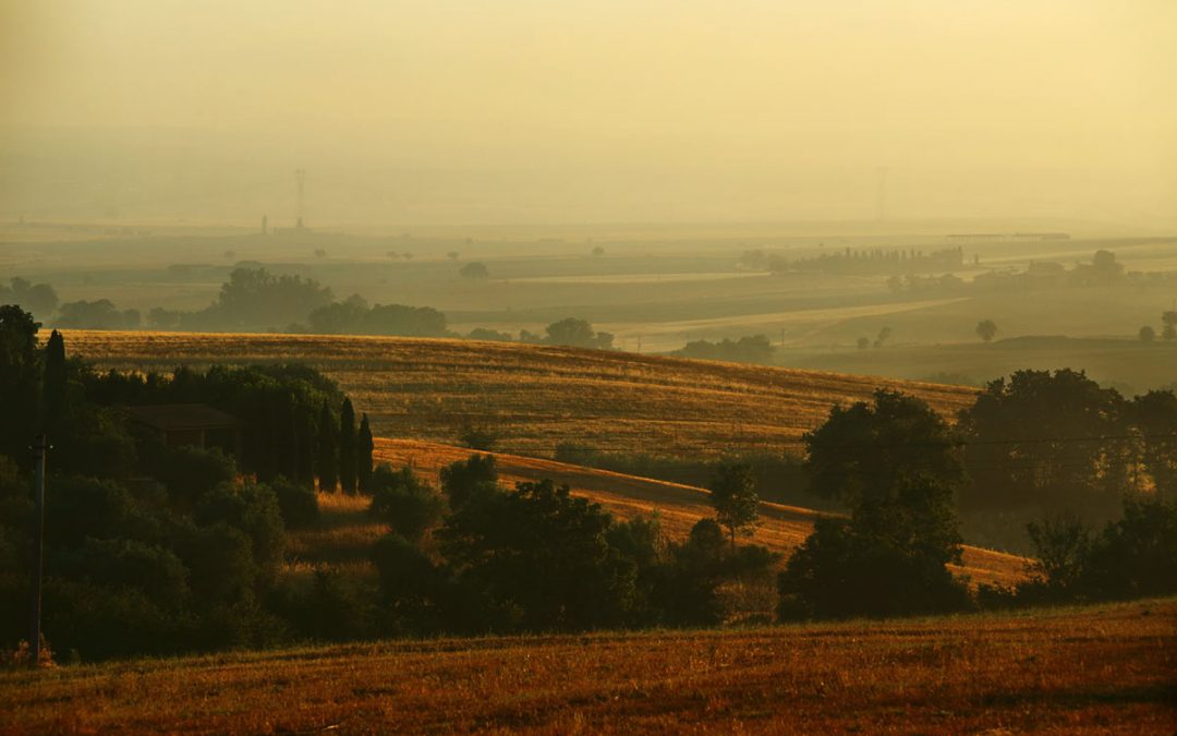 Energia Green: un Incubo per chi Ama la Natura.