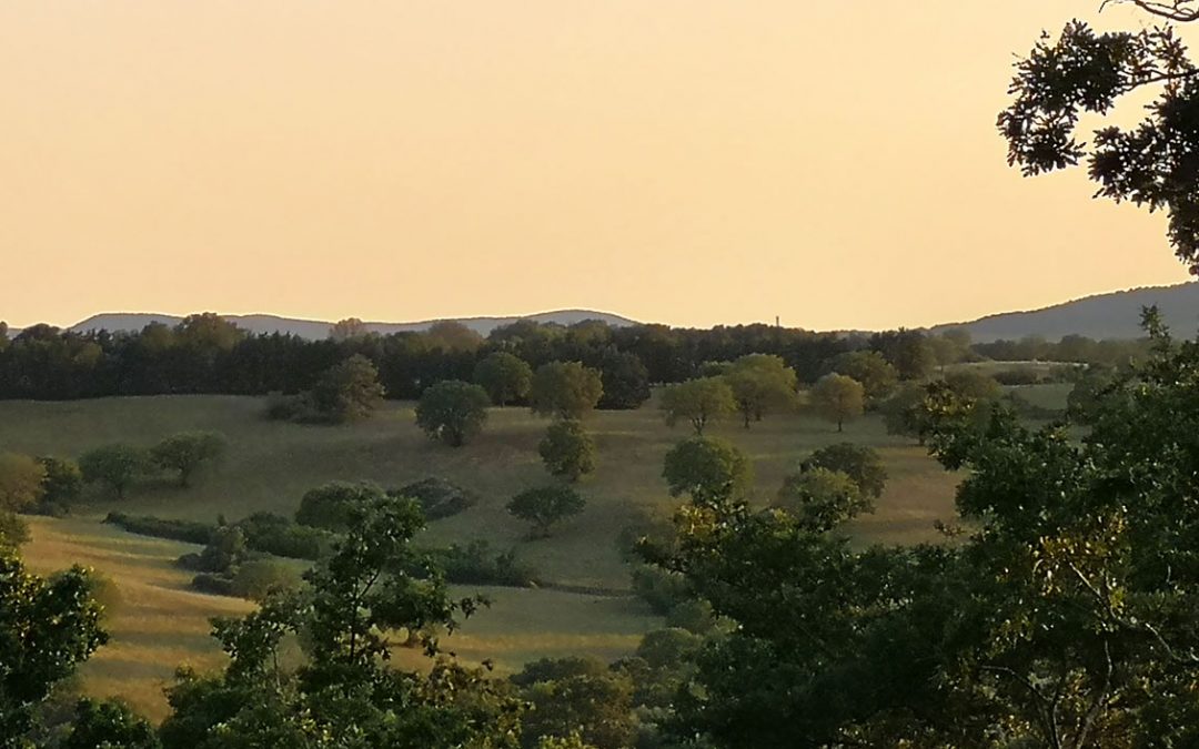 Parco Nazionale dell’Etruria – Prato Sospeso