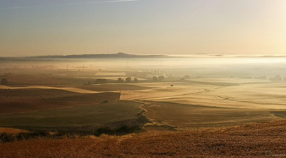 La Tuscia Ancora da Salvare