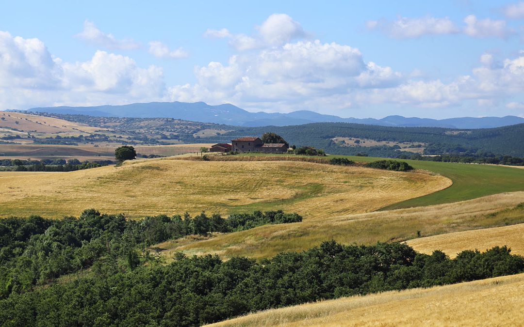 Parco Nazionale dell’Etruria – Grandi Spazi