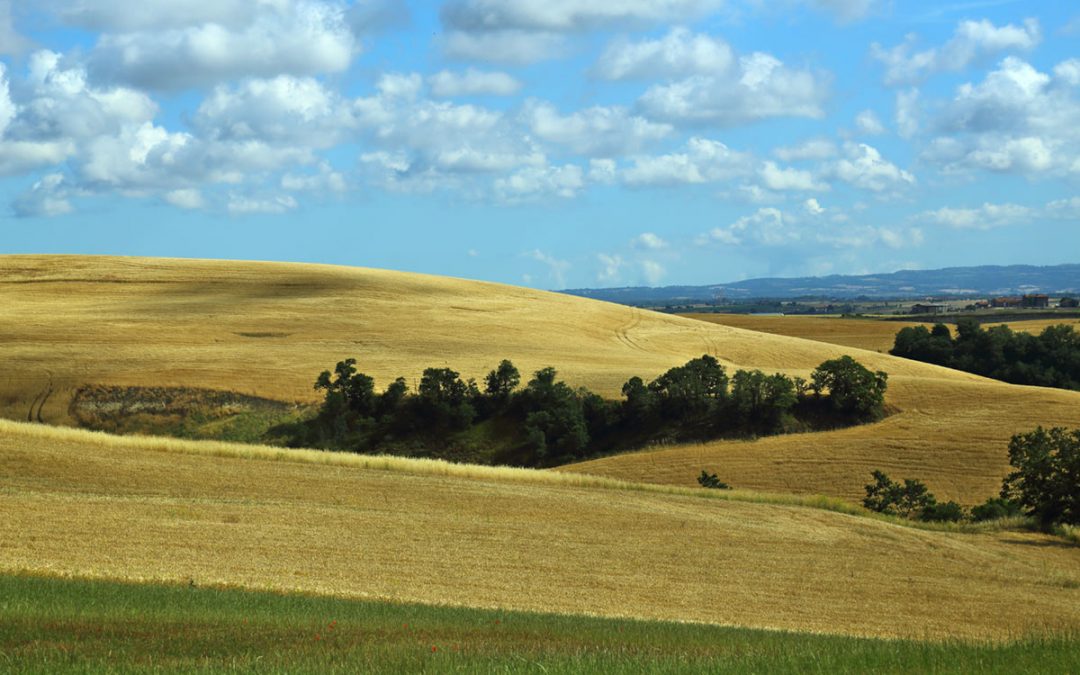 Parco Nazionale dell’Etruria – Gold