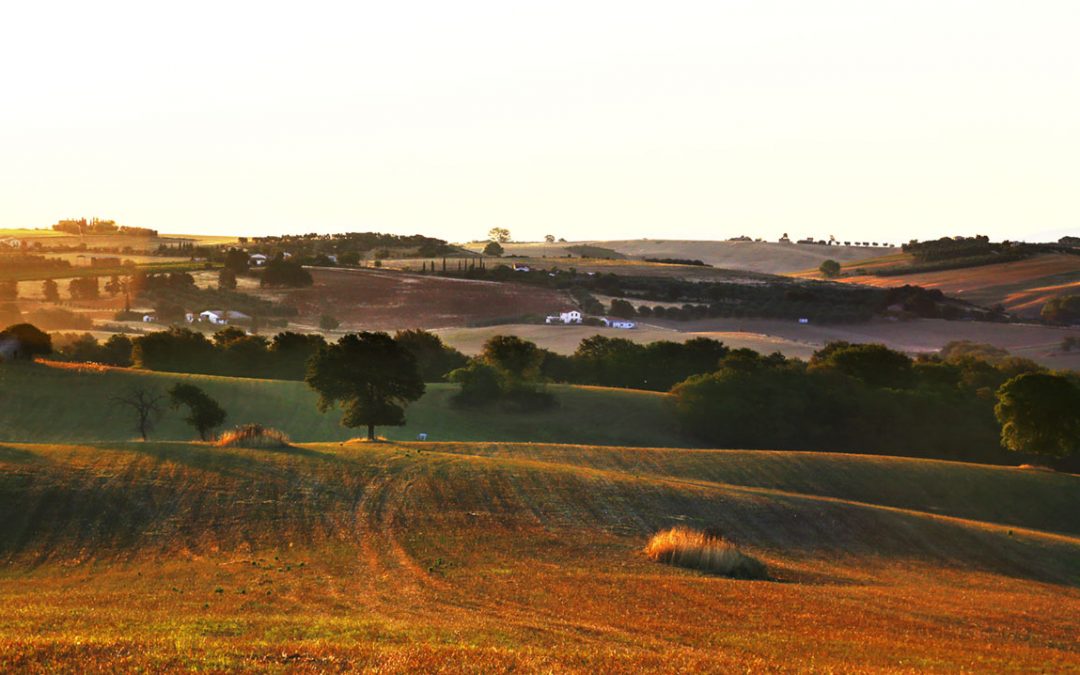 Parco Nazionale ell’Etruria – Alba