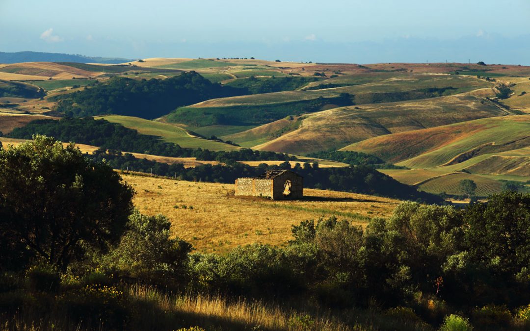 Quali Plutocrati Vogliono Distruggere la Tuscia?