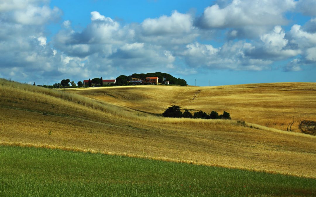 Terre Agricole – Parco Nazionale dell’Etruria