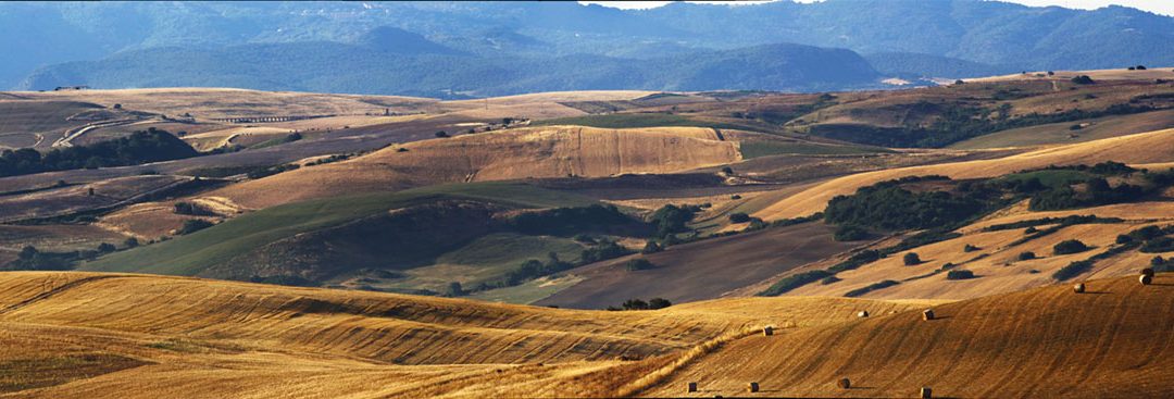 Il Pianeta del Grano