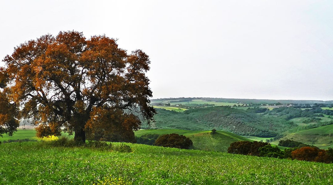 Valle del Mignone sotto Attacco – Emeriti Ignoranti Edition