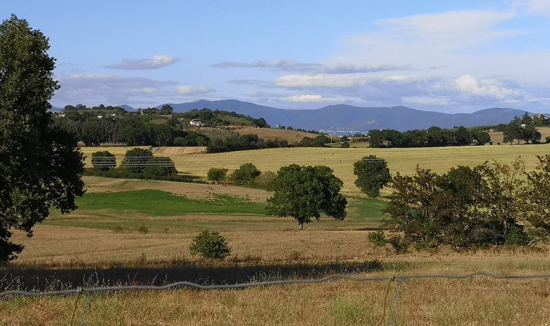 Tuscia – ai confini della Pollinesia.