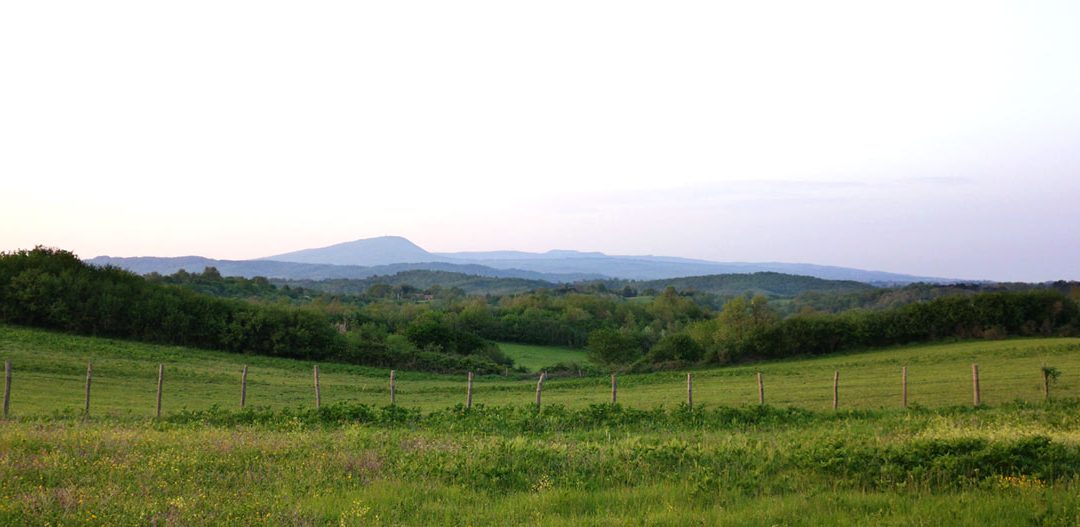 Monti Cimini – Mondo Verde