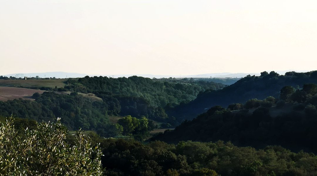 Valle del Marta – Fuori dalle Pale il Paesaggio Etrusco