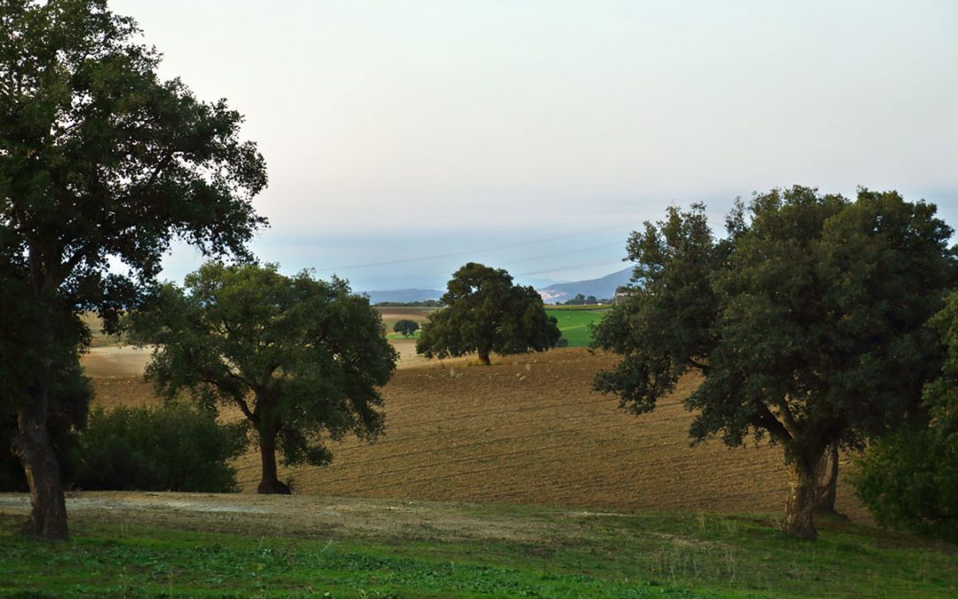 Landscape vs Industrial Powerplant