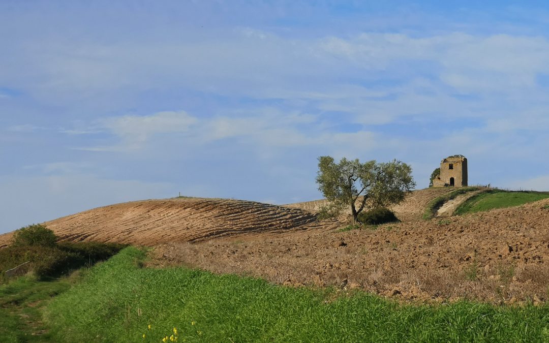 Paesaggi Incantevoli – Loc. Mandrie