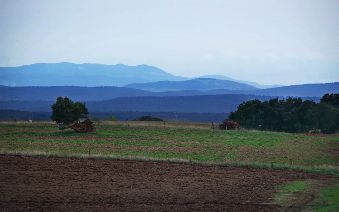 I Grandi Spazi Intorno al Marta