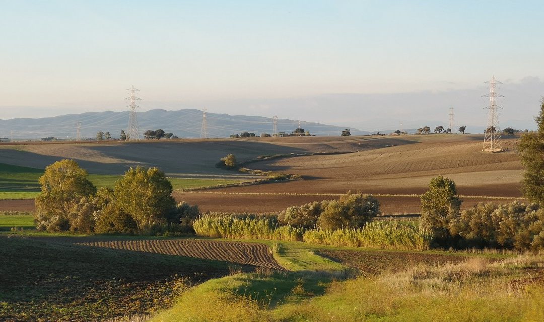 Tarquinia vs Industria “Green”