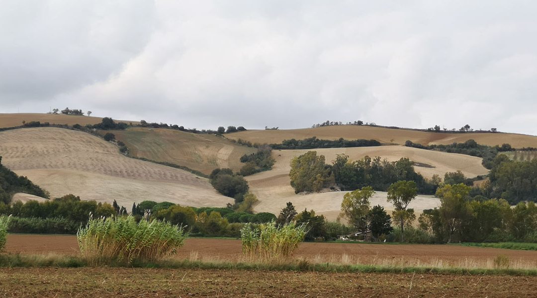 La Valle del Marta – Odio del Paesaggio Edition