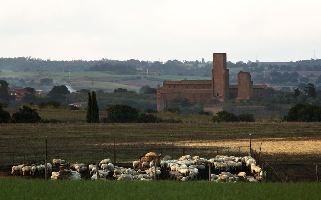 Tuscania – Paesaggio di Grande Valore