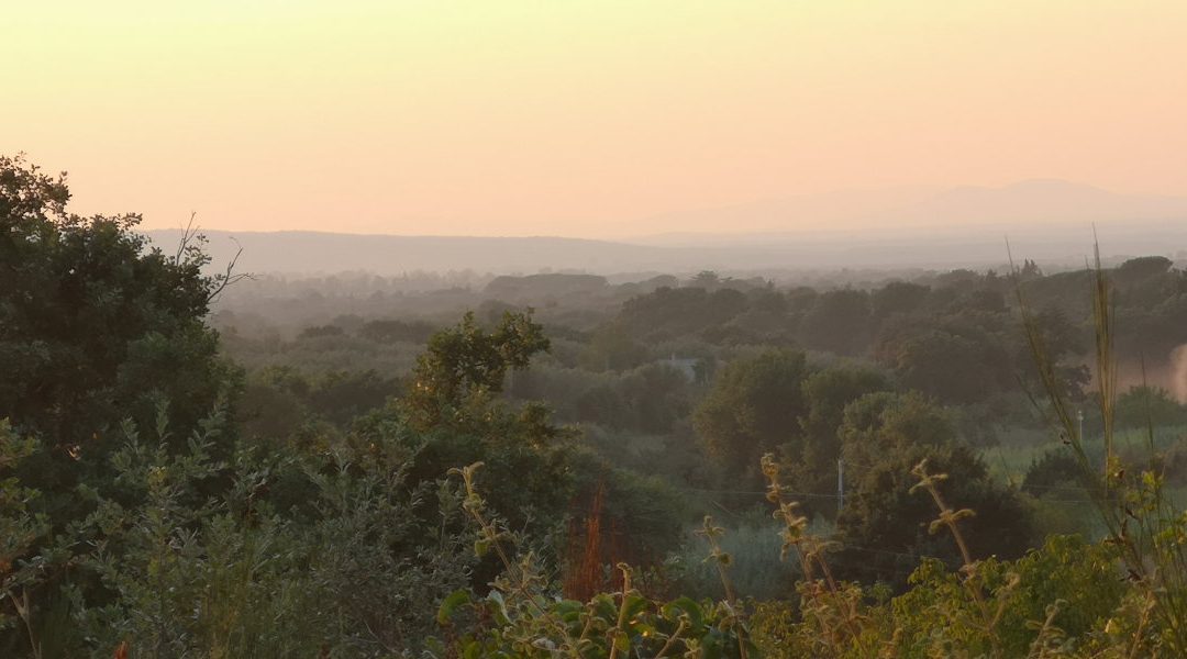 Paesaggi Storici della Tuscia