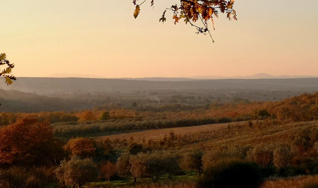 Maremma Laziale: 80km di Suggestione