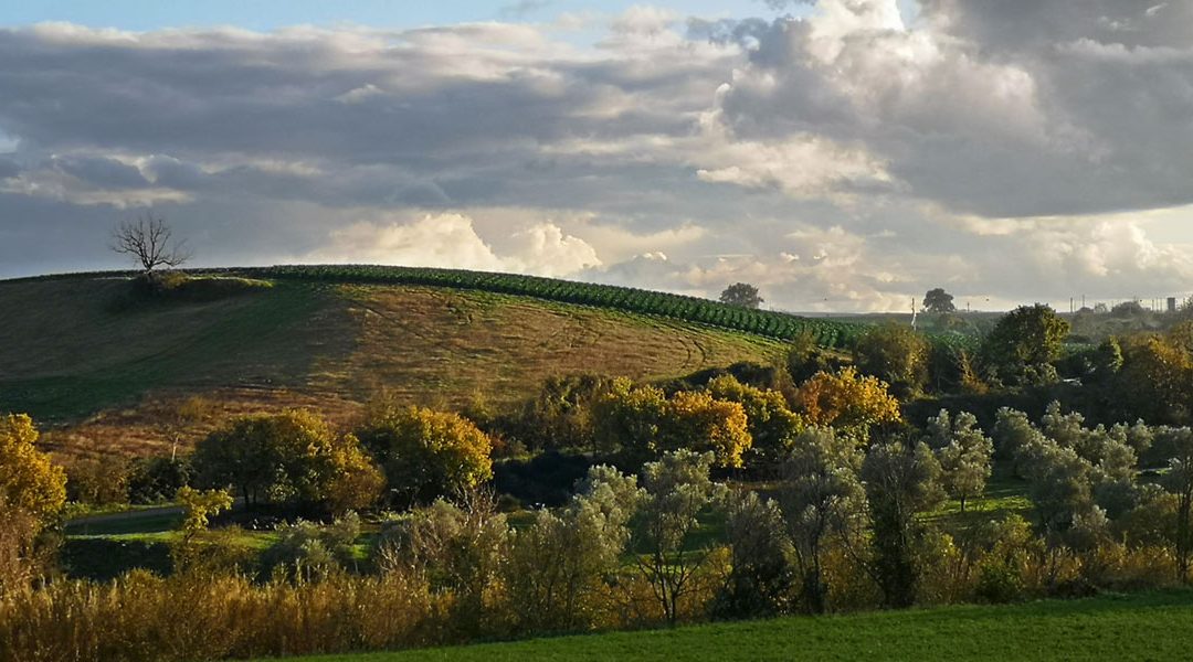 L’Asinello – sulla Strada delle Terme